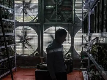 Mining farm showcasing multiple mining rigs
