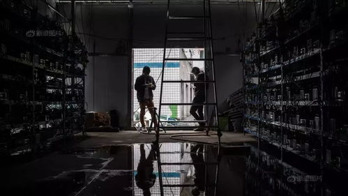 Used mining rigs in operation